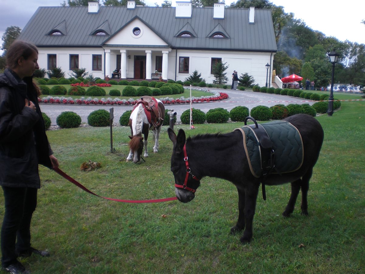 zabytkowe, kuchnia